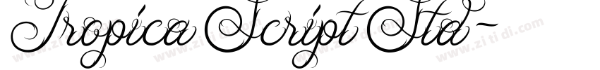 Tropica Script Std字体转换
